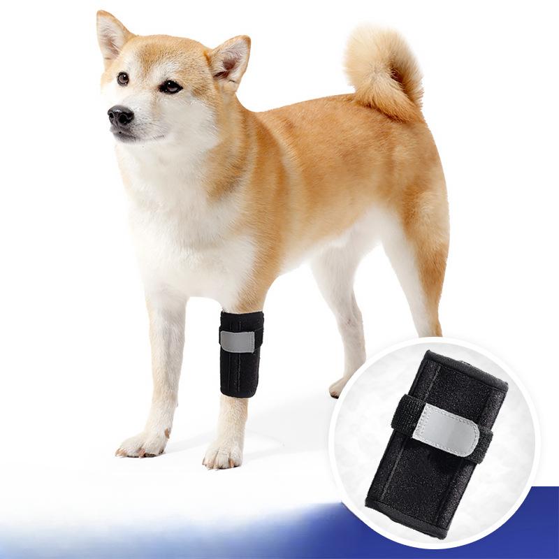

The Front Leg Injury Recovery Strap Velcro of The Dog Knee Brace Protects The Dog s Joint and The Adjustable Knee Brace L