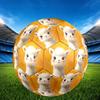 1pc Alpaca Snow Size 5 Soccer Ball Professional Match Training Football Indoor &Outdoor Sports Ball Lightweight Durable C65110