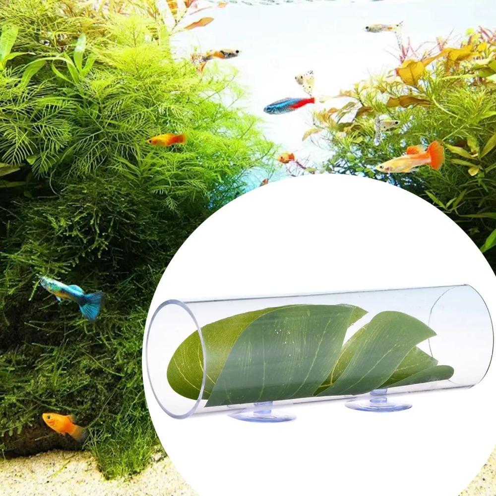 Round Tube Betta Tunnel Tank Decoration Hole Hollow Betta Fish Cave  for Cichlids Hide