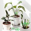 8Pcs Plant Stem Support Set Reusable Flower Growth Stakes, 4 Sizes