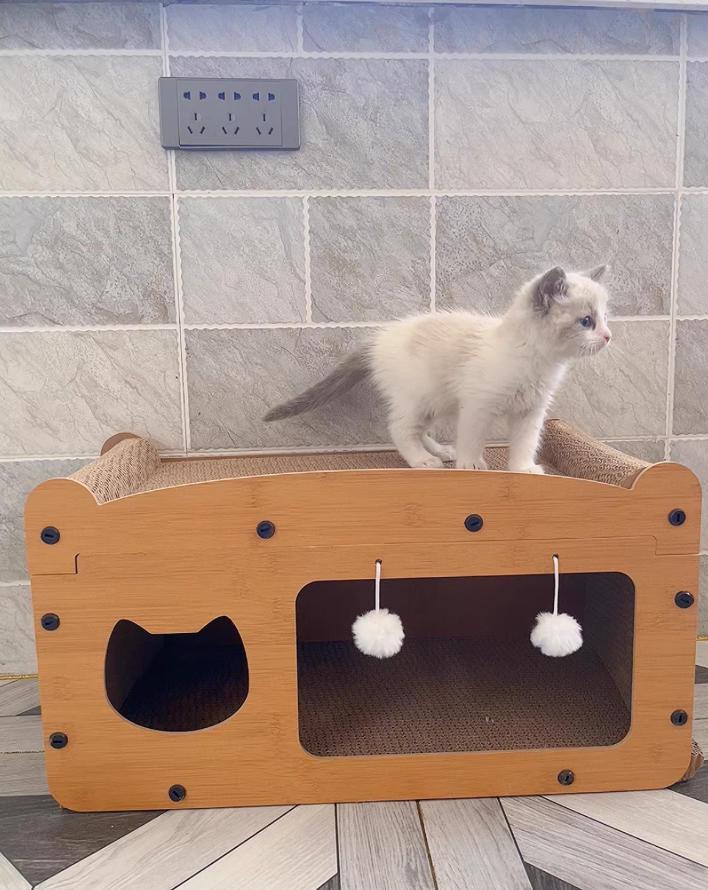 Four Seasons Universal Wear-Resistant Cat Tree: Lint-Free Cat Bed, Scratch Board, and Toy House.