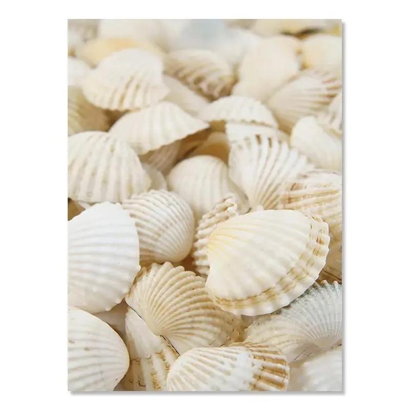 

Пляж Океан Холст Искусство Мост Лист Черепаха Чайка Печать Vitality Летний Свиток Скандинавский Дом Настенное Украшение Плакат Печать D 21cm×30cm NoFrame