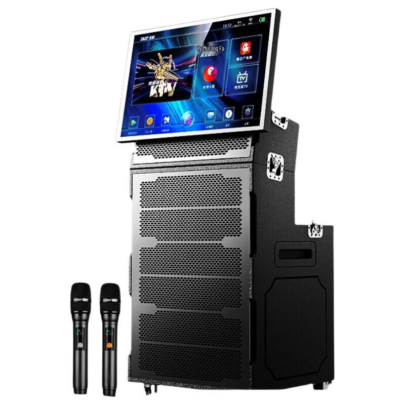 SAST WD-50 Professional KTV & Stage Portable Speaker System (CN Version)