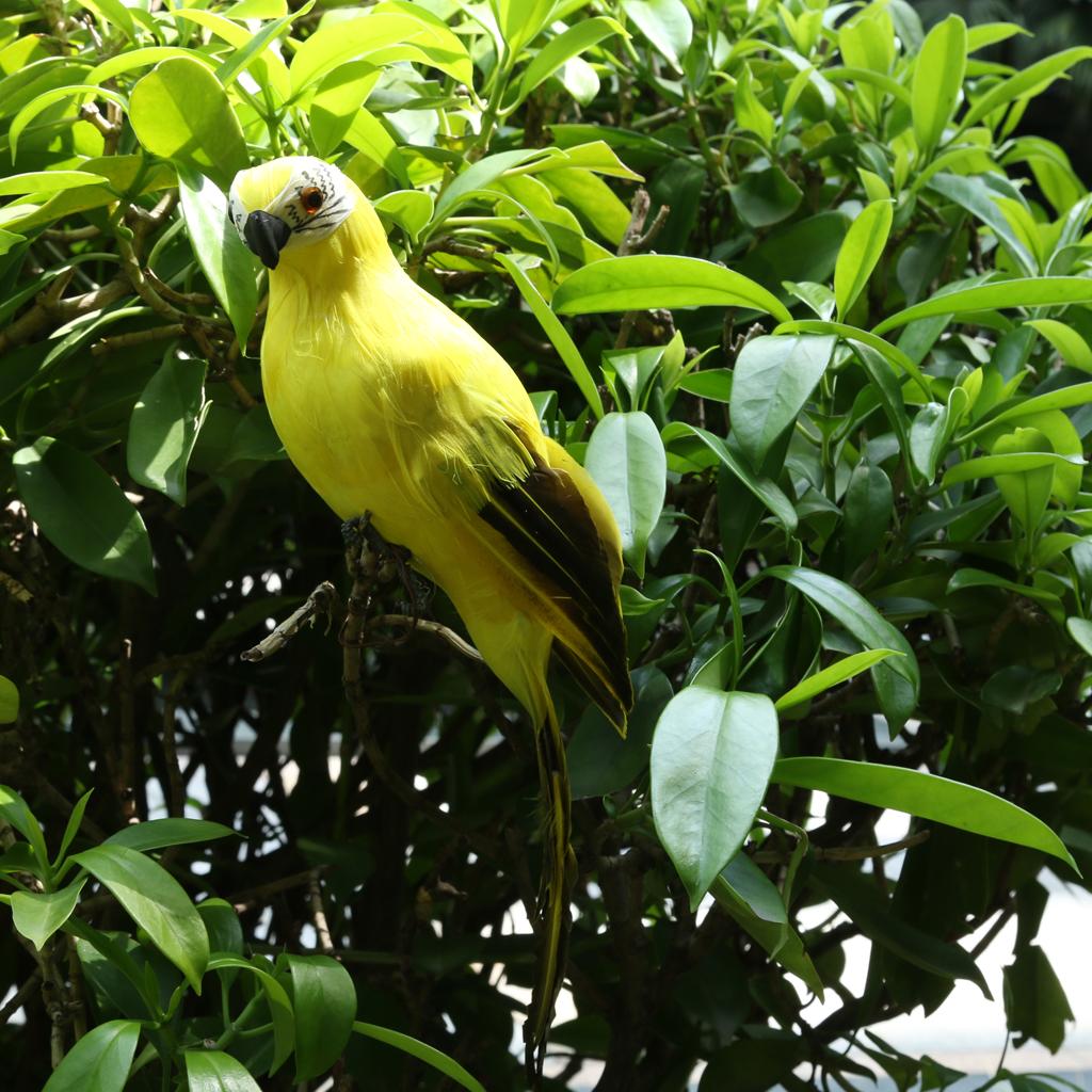 Ręcznie robiona ozdoba papuga Realistyczna figurka ptaka Dekoracja ogrodowa Rzeźba Żywe zwierzę Rekwizyt do fotografii i do użytku w klasie