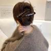 2 Pcs Large Leopard Print Hair Clips  Duckbill Edge Clips Non-Slip Grip for Back Head Styling Women's Fashion Hairpins
