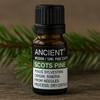 Pine Essential Oil Scots Pine 10 Ml