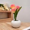 Night Light USB Rechargeable Wireless Tulip LED Lamp Touch Control Dimmable Cute Desk Lamp for Bedroom Living Room Travel Gift for Women Mom