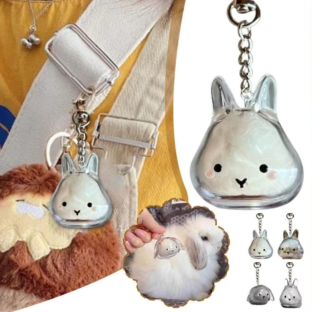 Hair Container Rabbit Hair Collector Transparent Rabbit Hair Storage Box  Jewelry Gifts