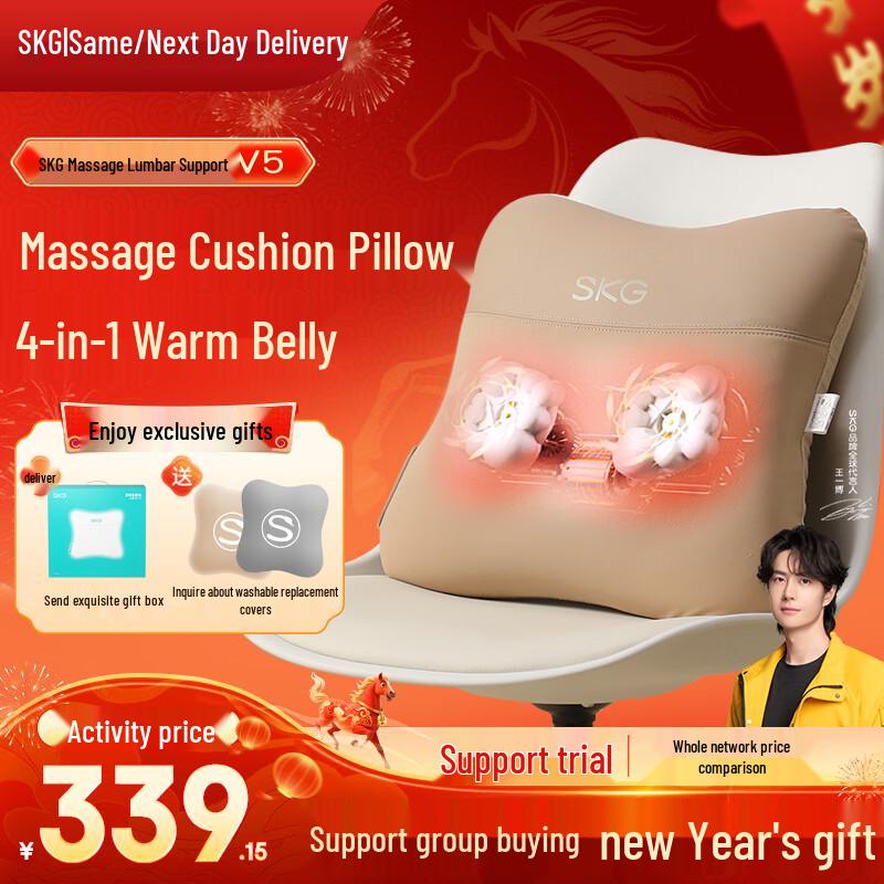 SKG V5 Heated Lumbar Massager Cushion