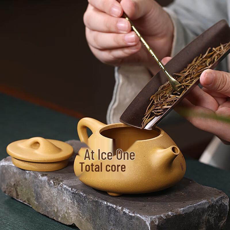 Handcrafted Yixing Zisha Clay Teapot