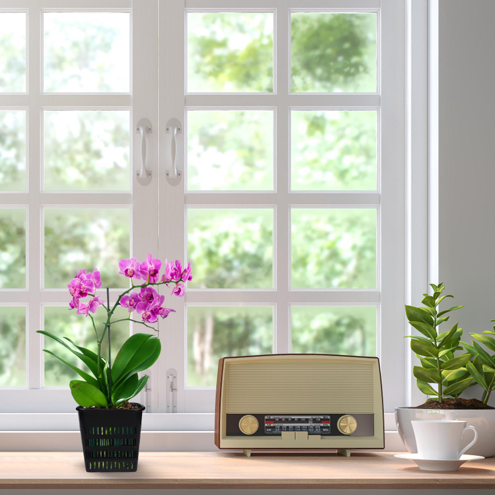 

12 шт. прозрачный набор горшков для орхидей дышащий пластиковый горшок для растений с прорезями и дренажем коричневый