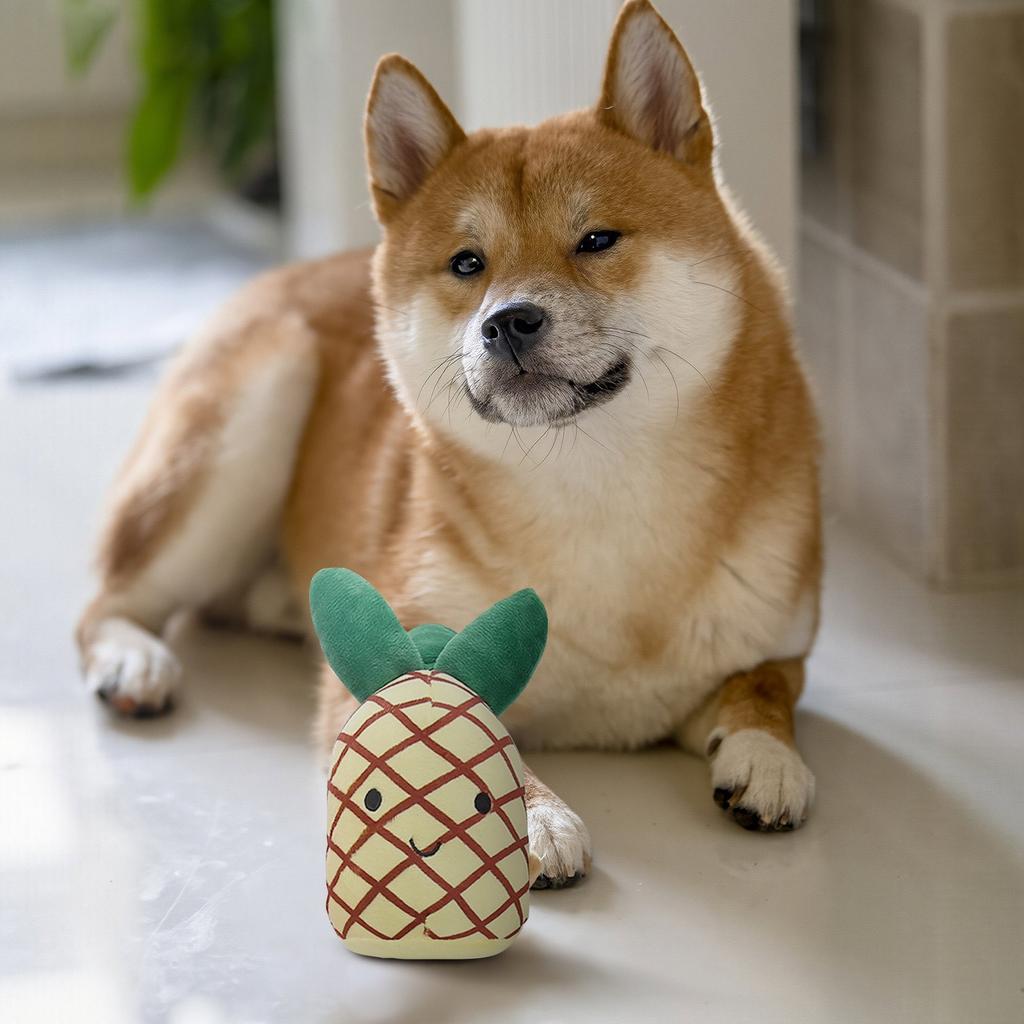 Pet Plush Toys Resistant, Pet Stuffed Plush Toys Soothe Pet Separation Anxiety, Pet Teething Chew Toys, Interactive - Organic Kick Toys Reduce Bored