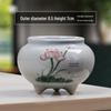 Blue & White Porcelain Flower Pot with Tray for Asparagus Fern, Money Tree, Orchid, Succulents & Bonsai 