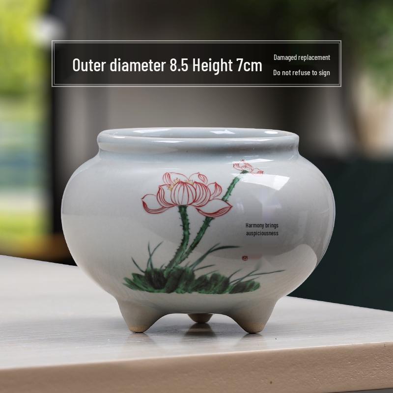 Blue & White Porcelain Flower Pot with Tray for Asparagus Fern, Money Tree, Orchid, Succulents & Bonsai