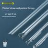 Homeglen Disposable Drinking Straws