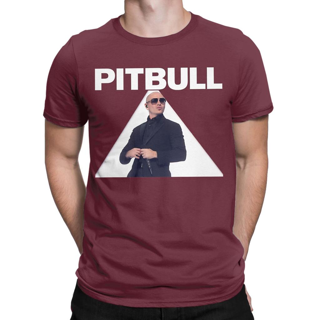 Mr Worldwide Pitbull Rapper Graphic Funny 100 Cotton Tshirt Honk For Mr Worldwide Tees Tops For Unisex