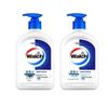 Walch Family Antibacterial Hand Wash