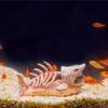 1pc Polyester Shark Bone Decor Aquarium Ornament Fish Hideout Cave with Skeleton Reef Design Resin Craft Gift for Tank