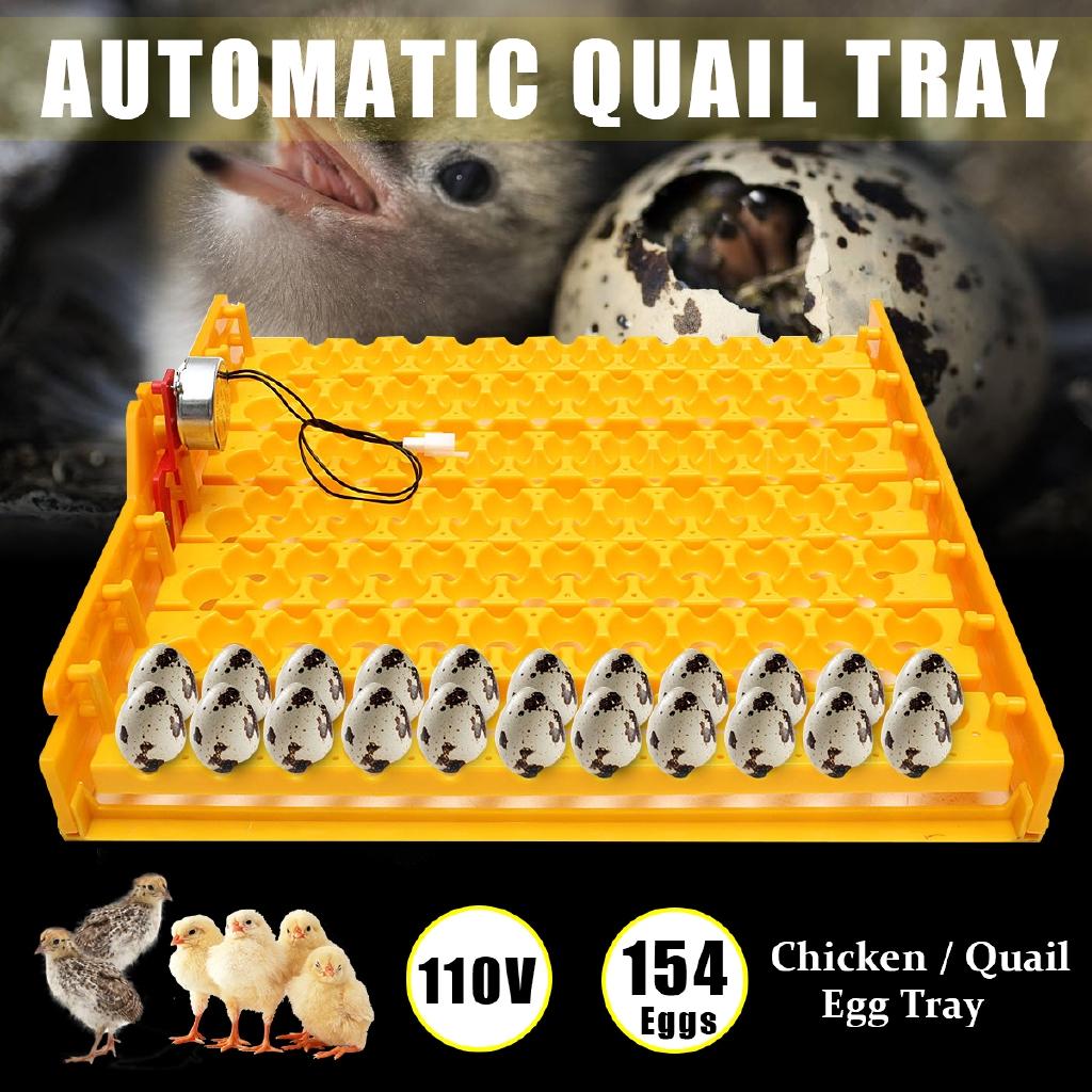 

AC110V Инкубатор для яиц 154 яйца Переворот для перепелиных яиц Лоток Контейнер для выведения Выводная машина Брудер Инструменты с автоматическим поворотным двигателем Новый