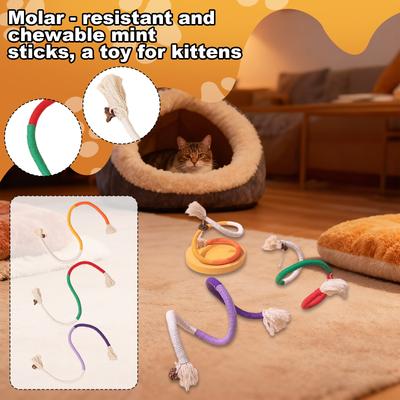 Kedi – Kedi Oyuncakları