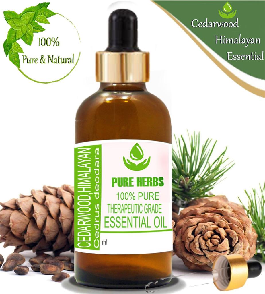 Pure Herbs Cedarwood Himalayan 100% Pure Cedrus Deodara Essential Oil ZA 318