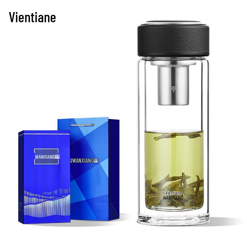 Vansun Double-Layer Glass Tea Bottle with Infuser