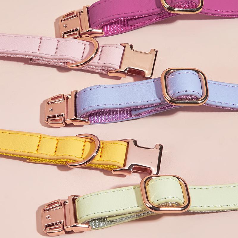 Dog Collar Candy Color Retro Cat Collar Small and Medium Dog Pet Dog Collar