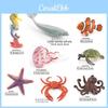 Pești și animale marine – Decorul acvariului