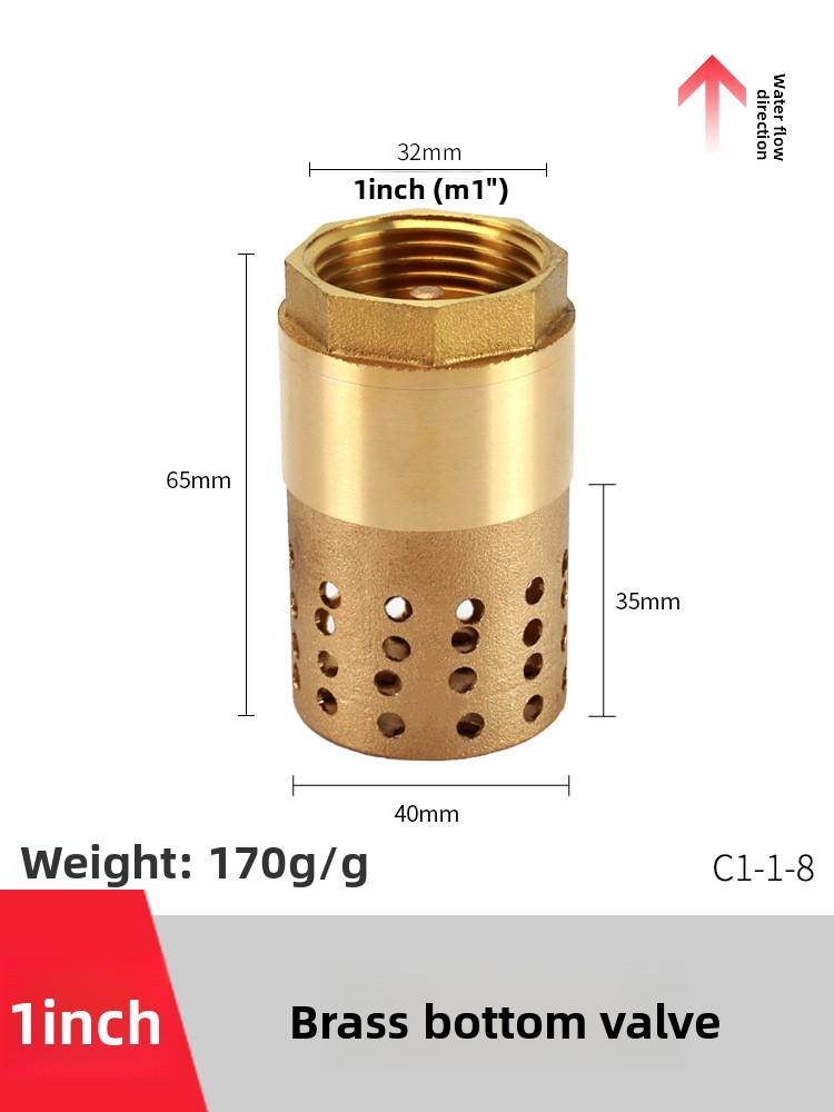 Copper Faucet Check Valve Self-priming Pump Inlet with Filter Anti Backflow Spring One-way Valves Insert Hose