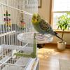 Adjustable Parrot Rotating Windmill Perch Toy Parrot Standing Platform  Indoor Play