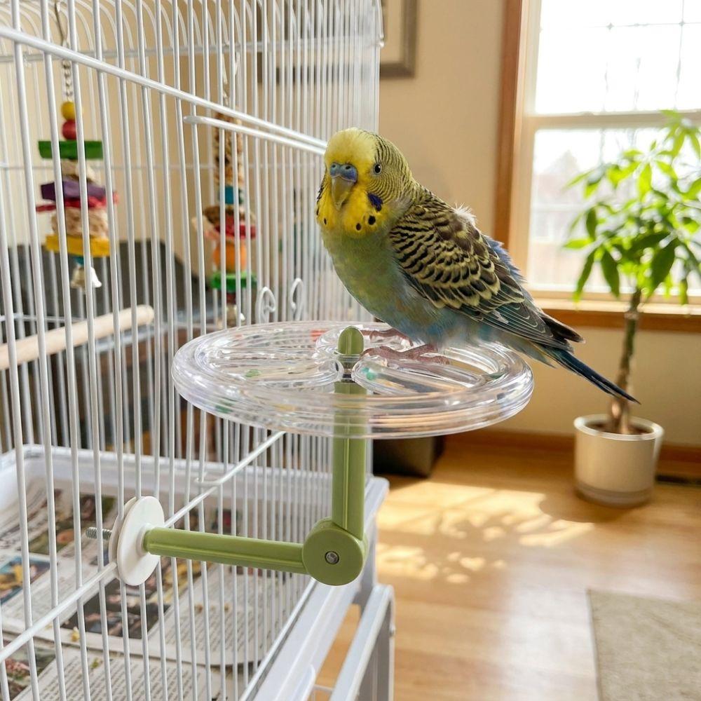 Adjustable Parrot Rotating Windmill Perch Toy Parrot Standing Platform Indoor Play