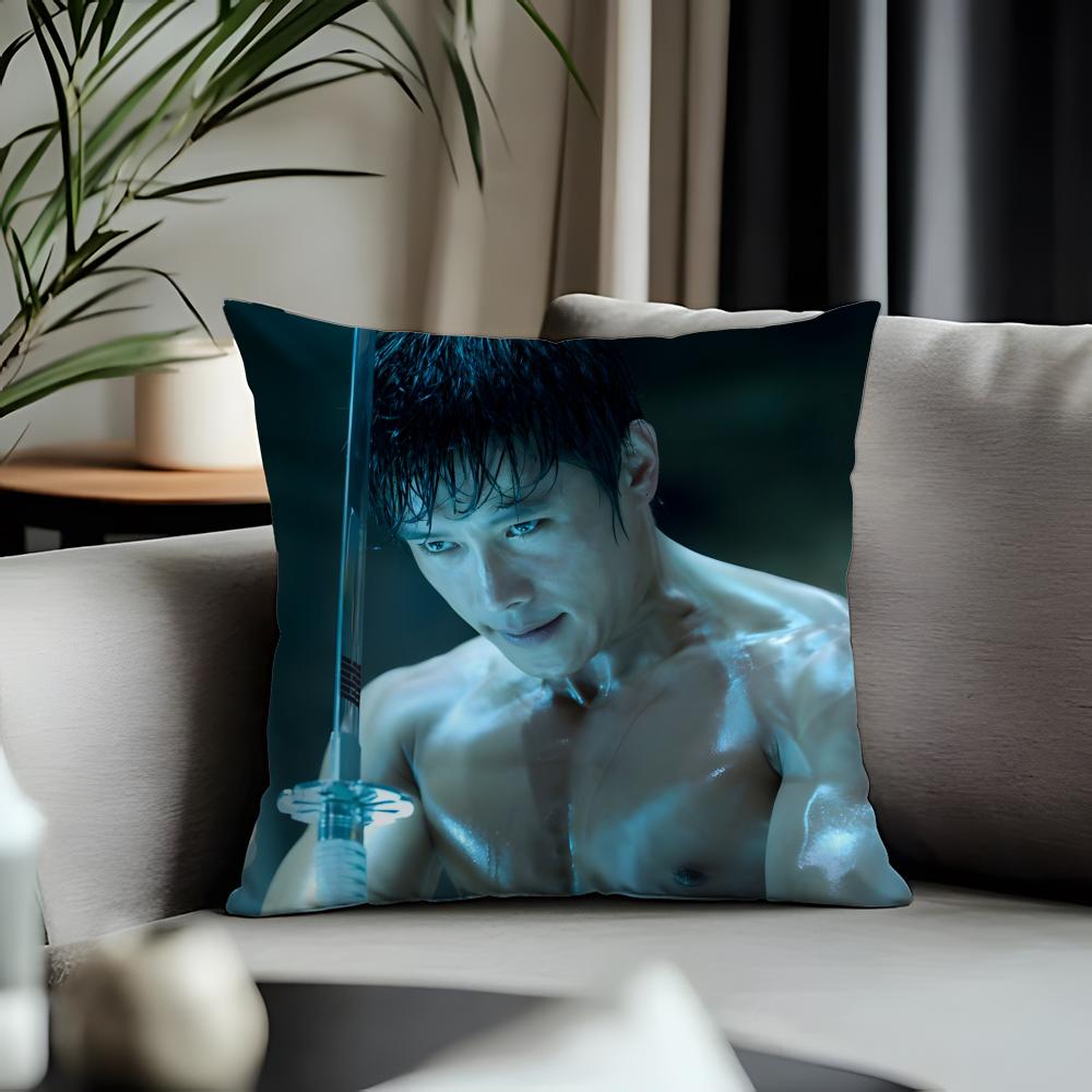 Viral Llee Byung Hunful Cushion Cover Antidustmite Pillowcase Invisible Zipper Silky Short Plush Sofa Cushion Cover
