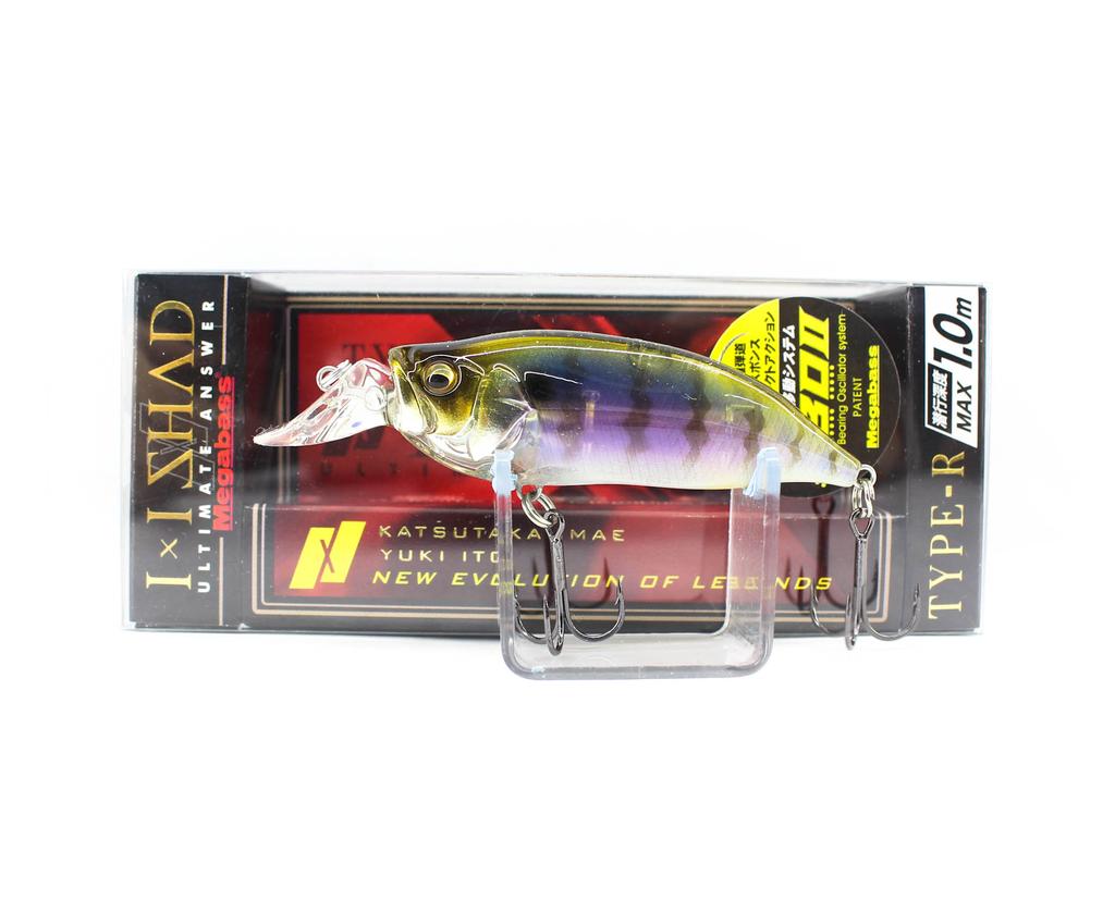 Megabass I X I Shad Type-R 1m 57 mm 1/4 oz Floating Lure Gillkko (0630)