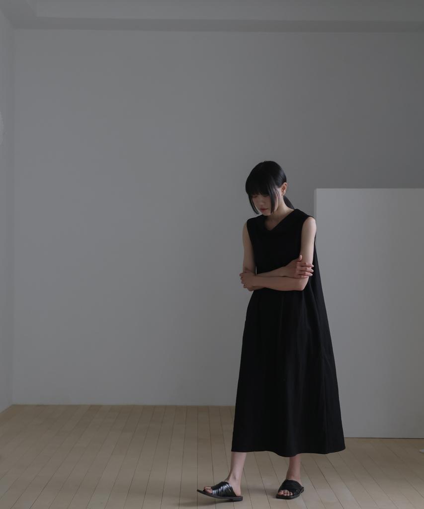 Linte Drape Neck Layered Dress Black