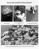 Extra Thick 5 mil Black Trash Bags for Hotels & Kitchens - Large, Customizable Plastic Sanitation Bags