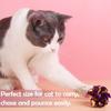 PET SHOW 20 Pcs Cat Crinkle Toy Ball 2.5inch Mylar Cat Pounce Chase Toys Colorful Paper Ball Chase Training Activity for Cats Kittens