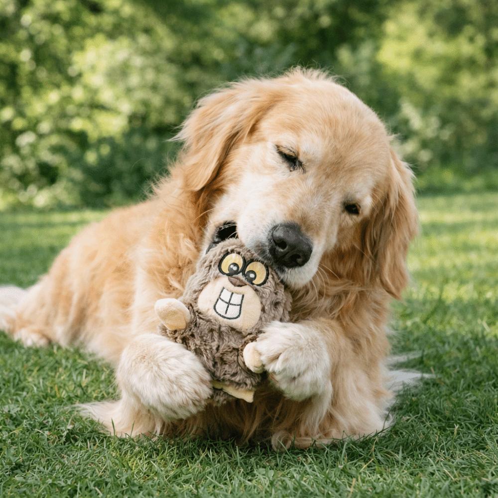 Wear Resistant Squeaky Plush Dog Doll Cartoon Interactive Dog Toy Dog Molar Toy  Puppy Training