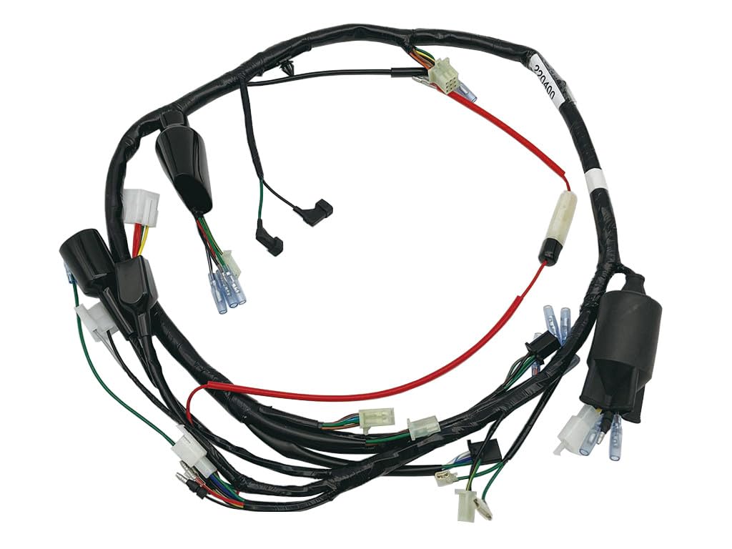 Основная проводка для NSR50 220400 C.F.POSH 90-92
