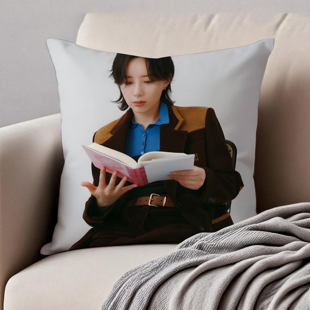 Popular fashionable Chinese singer DDanyLee Cushion Cover Pillowcase Antidustmite Invisible Zipper Short Plush Sofa Cushion