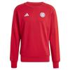 adidas Толстовка FC Bayern Munich 24/25 DNA