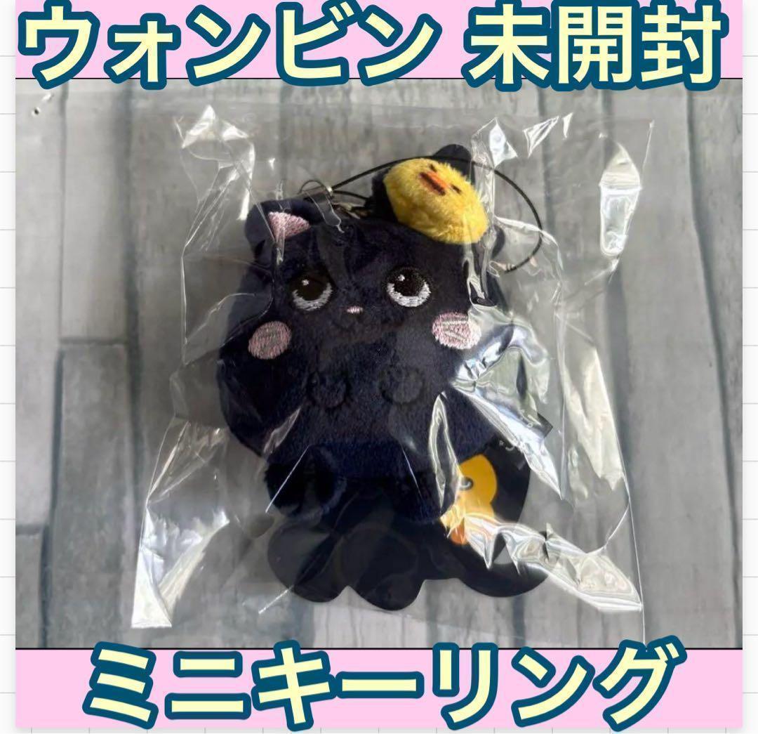 

[Б/У] Куплено в Корее RIIZE Won Bin плюшевая игрушка мини кукла брелок