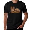 Loth Cat Illustration Tshirt Soft Cotton Print Tshirt
