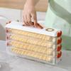 2/4 Layers Dumplings Storage Box Dumpling Organizer Stackable Desserts & Cookies with Buckle, Lid & Handle for Fridge