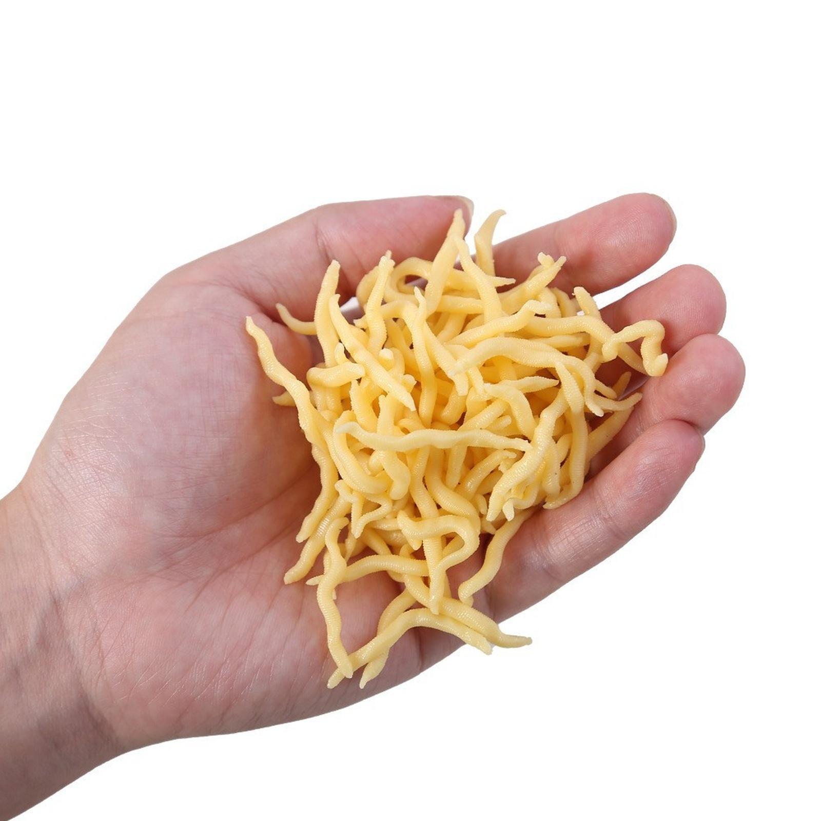 OriGlam Рыбалка , Червь для форели, Дождевой червь, Реалистичный поддельный червь, Пластиковый реалистичный поддельный дождевой червь one size