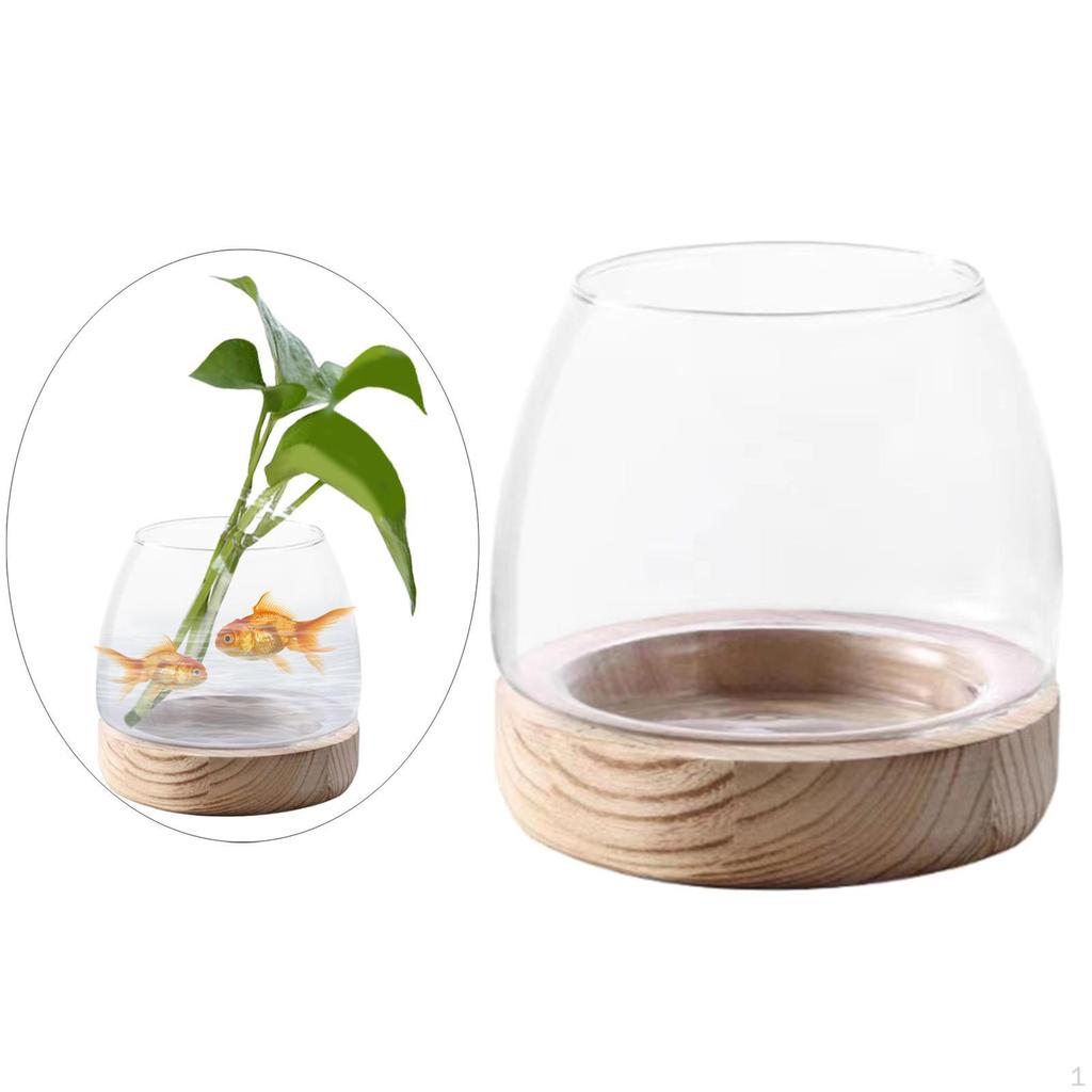 Klarer Glas-Pflanztopf mit Holzsockel für die Präsentation von Zimmerpflanzen