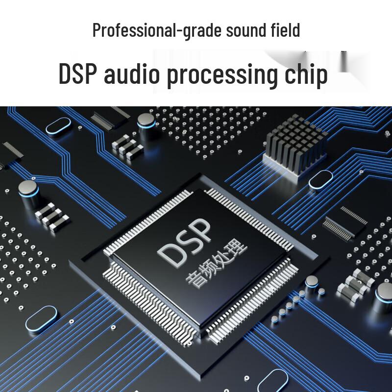 SANSUI PK09 Professional Home KTV Karaoke System