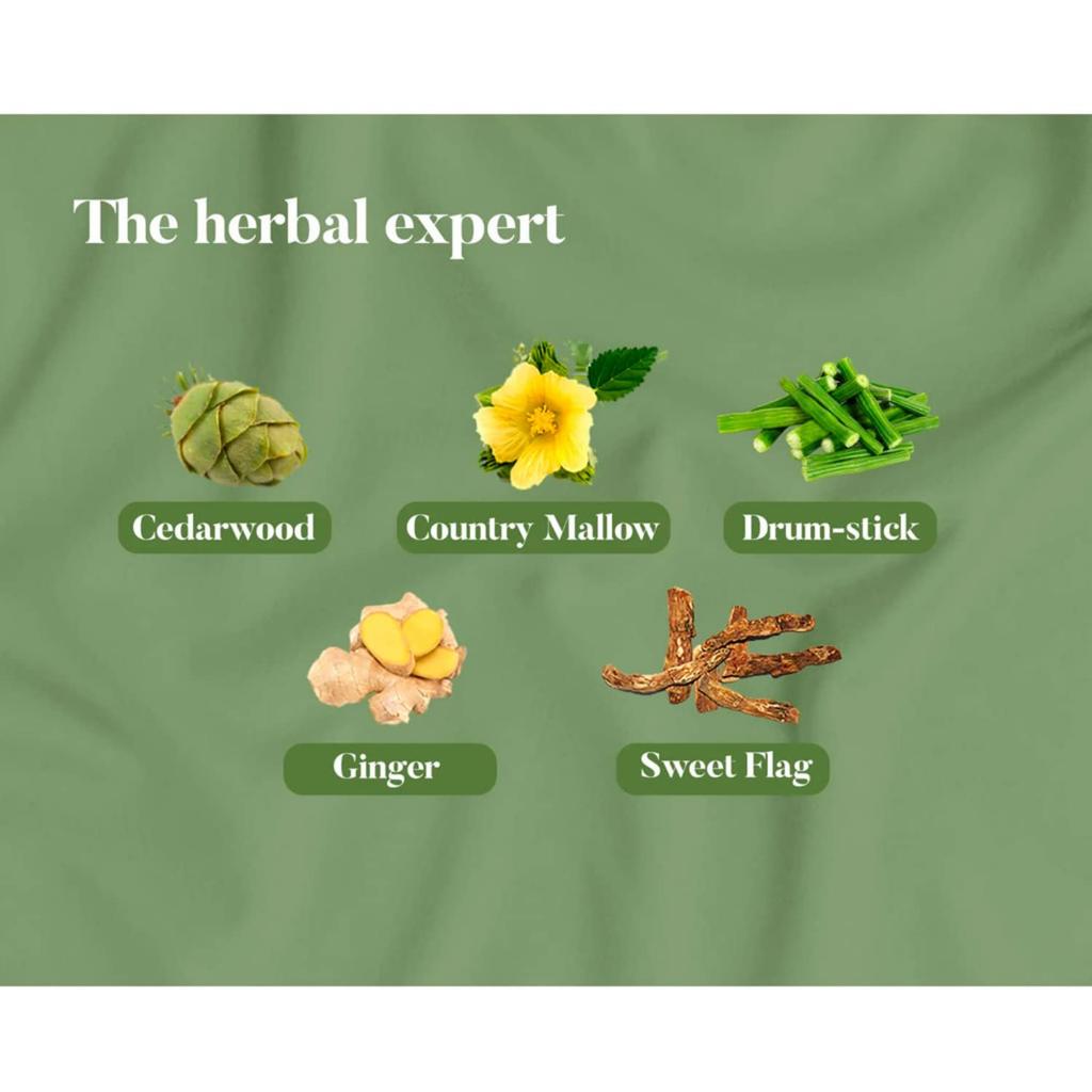 Ayurvedic Pain Relief Oil, 100ml, Himalaya