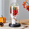 Yousheng Pumpkin Dome Light LED Clear Cloche Pumpkin Night Light for Halloween Home Kitchen Tabletop Mantel Garden Poolside Decor