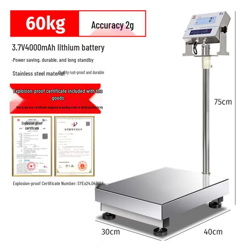 HC High-Precision 304 Stainless Steel Industrial Platform Scale
