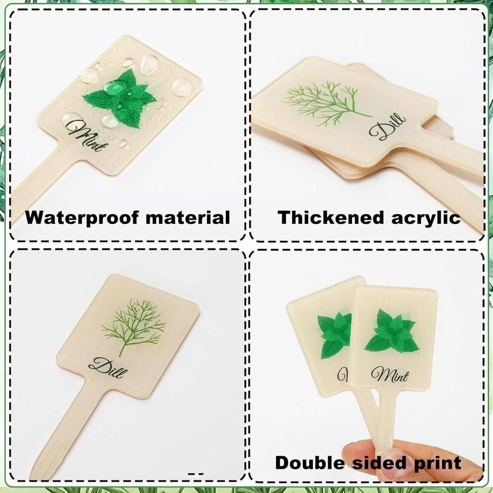 12PCS Acrylic Plant Markers Reusable Plant Tags Garden Markers Plant Labels  Clear Identification